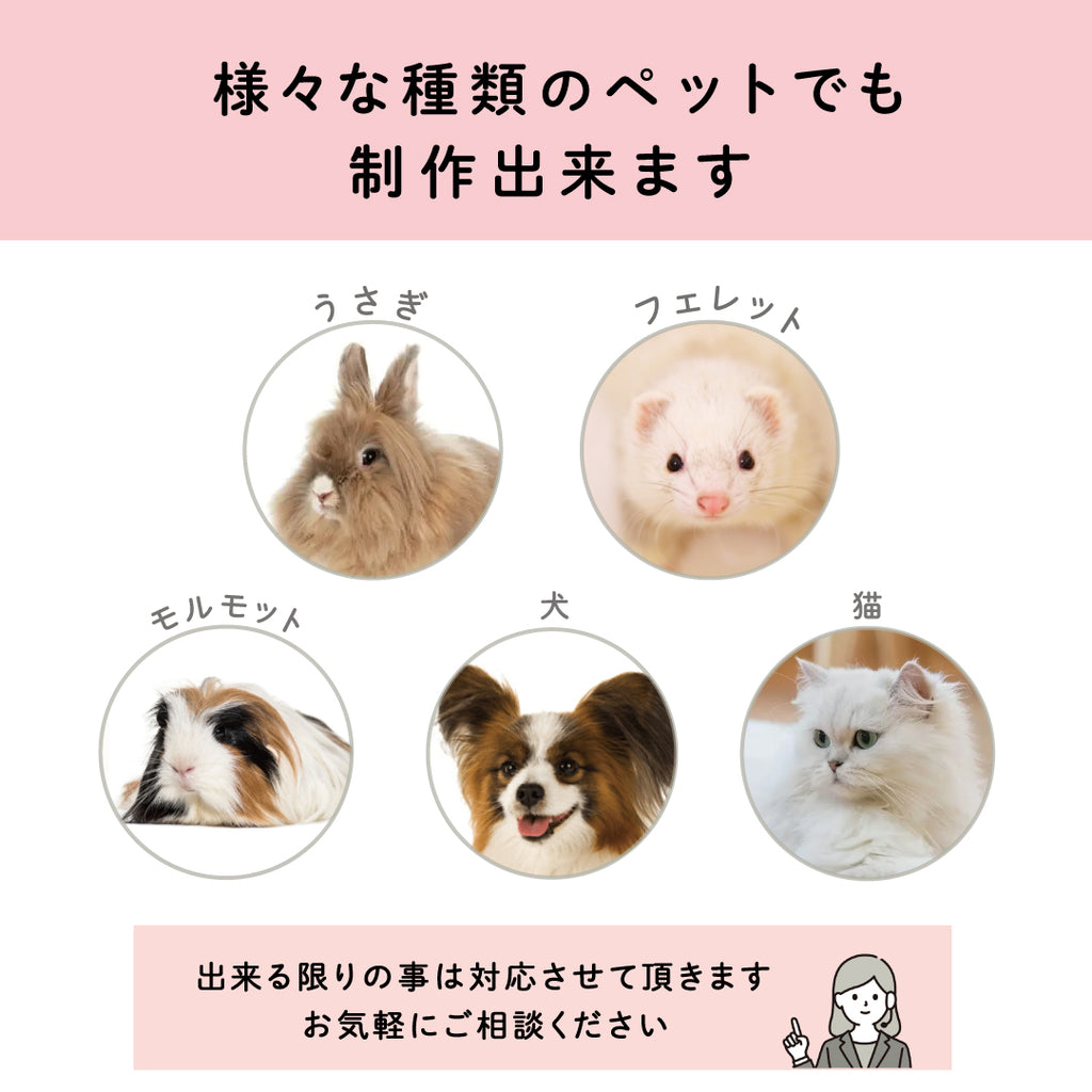 ペットチャーム