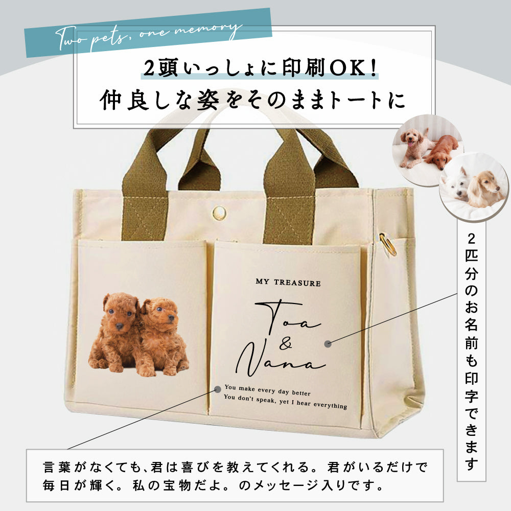 ３WAYバック