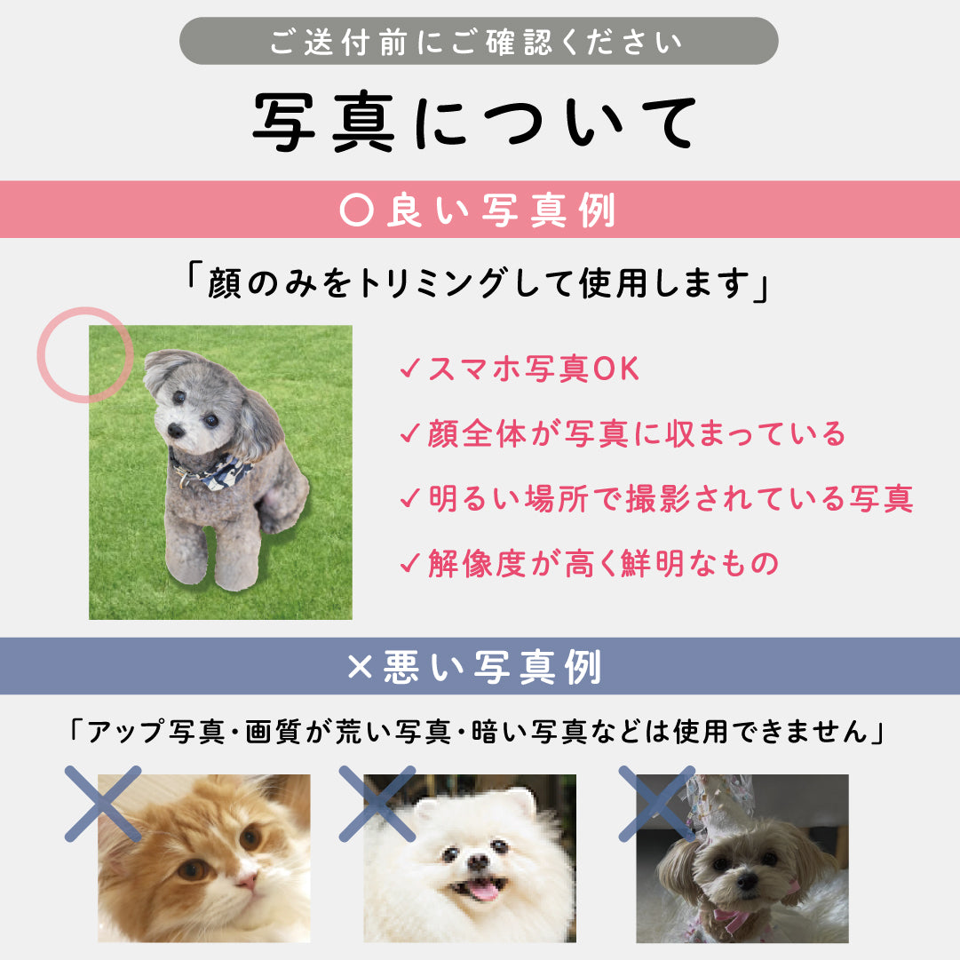 ペットチャーム