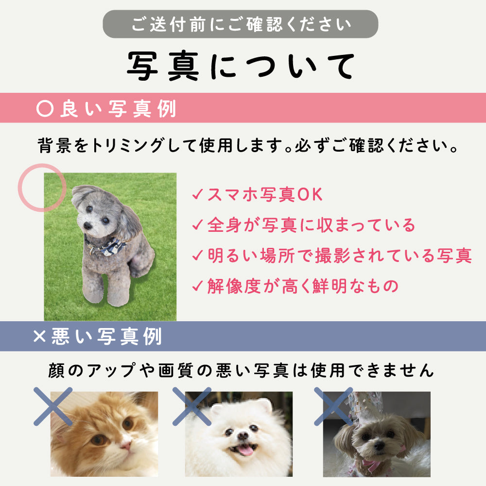 ３WAYバック