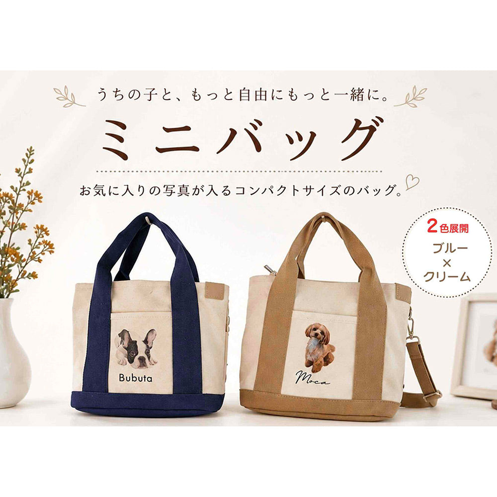 ミニバック