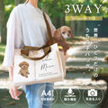 ３WAYバック