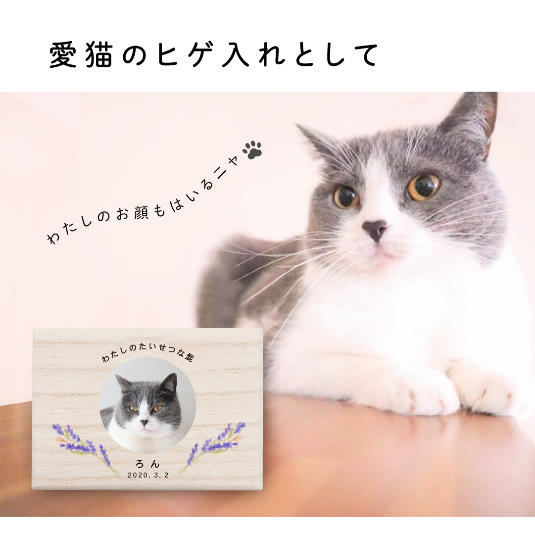 ペットケース