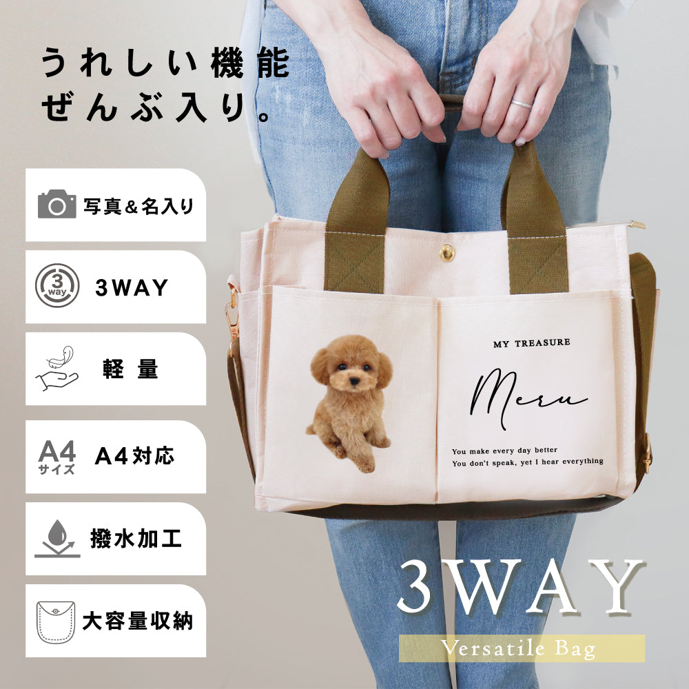３WAYバック
