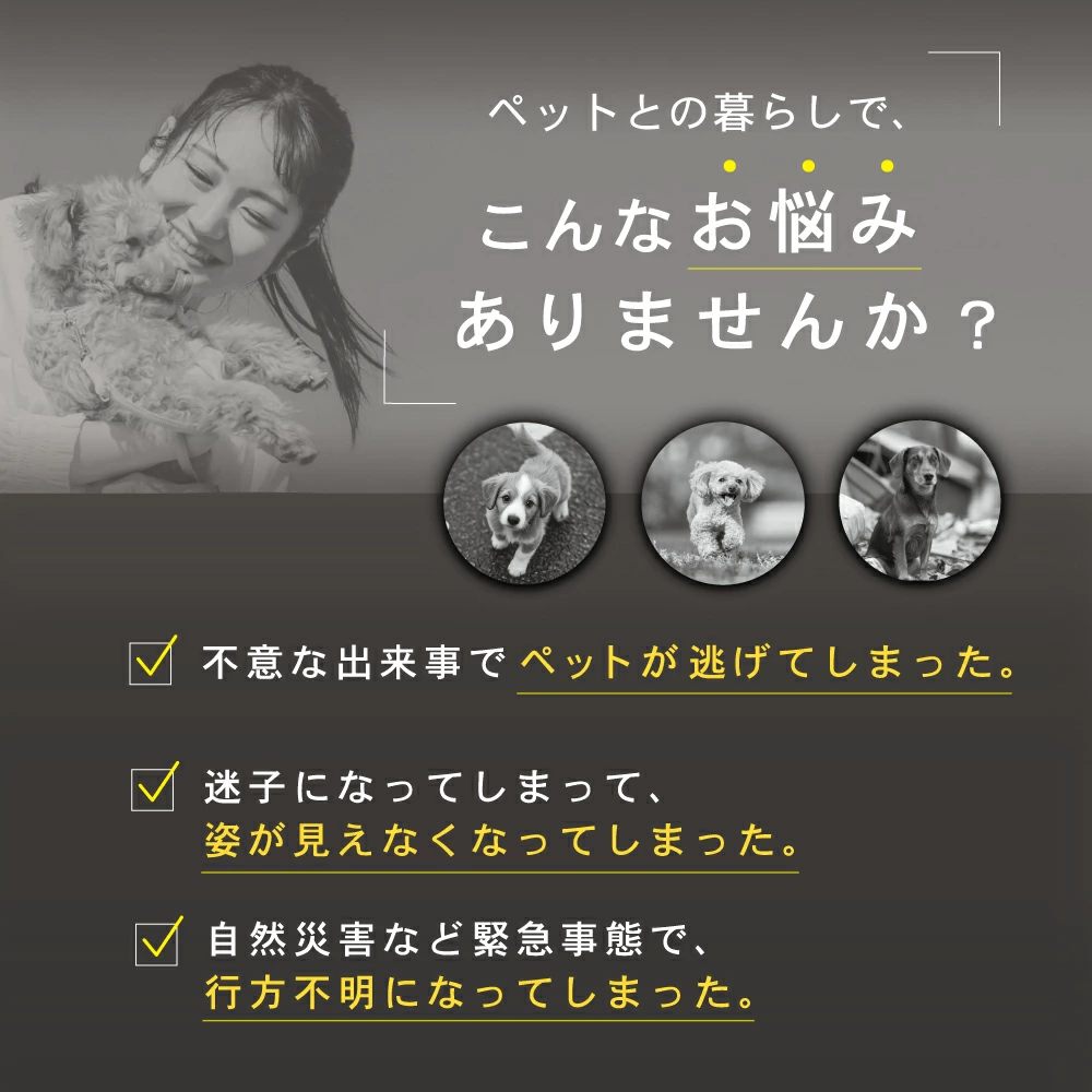 迷子札 ネームタグ