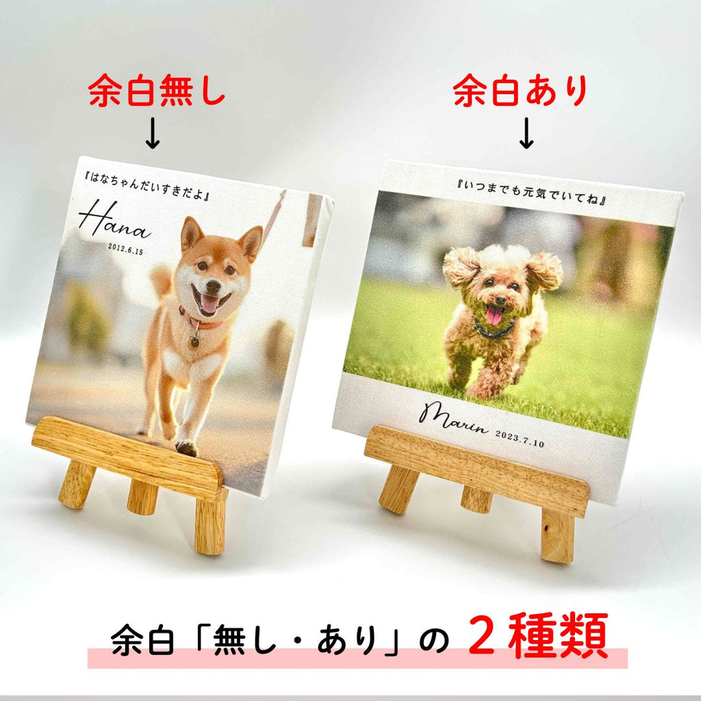 キャンバス