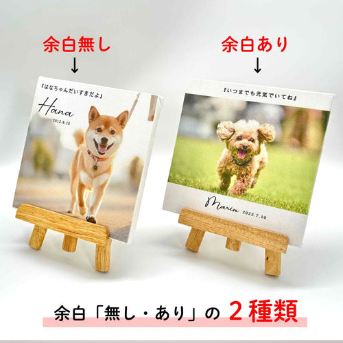 キャンバス