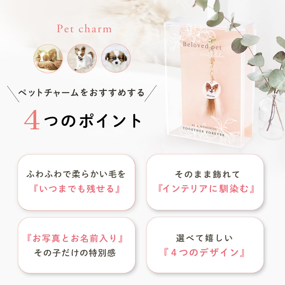ペットチャーム