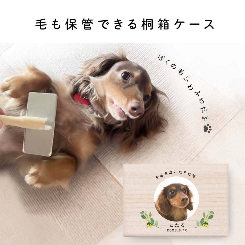ペットケース