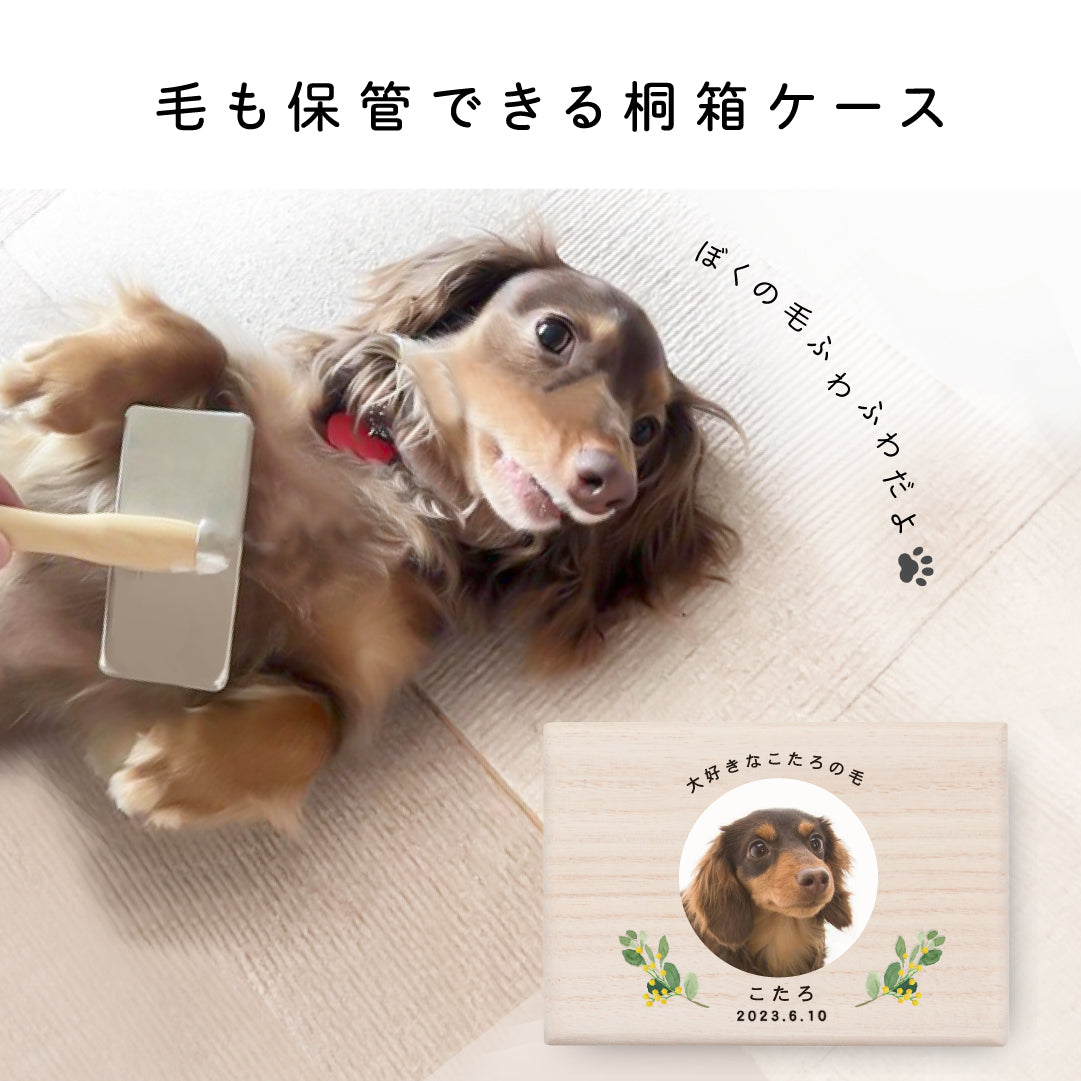 ペットケース