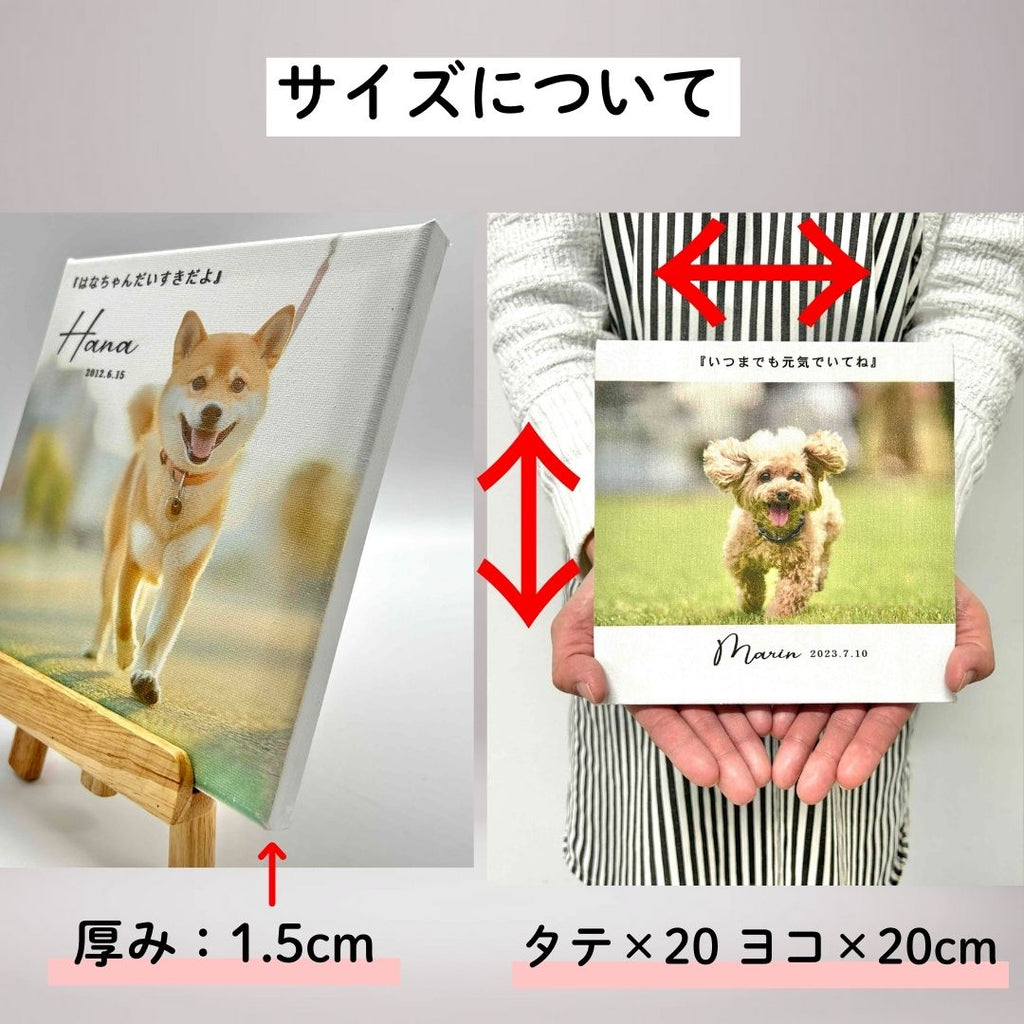 キャンバス