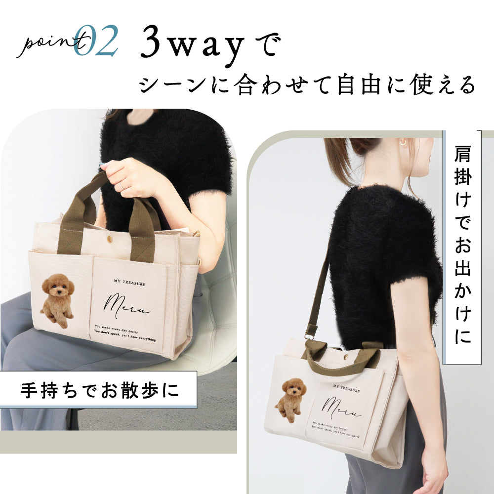 ３WAYバック