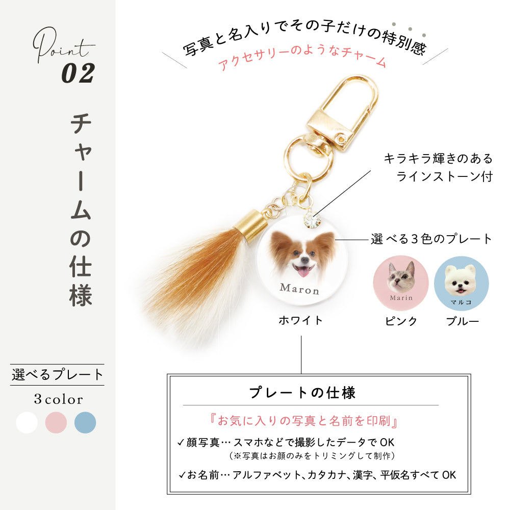ペットチャーム