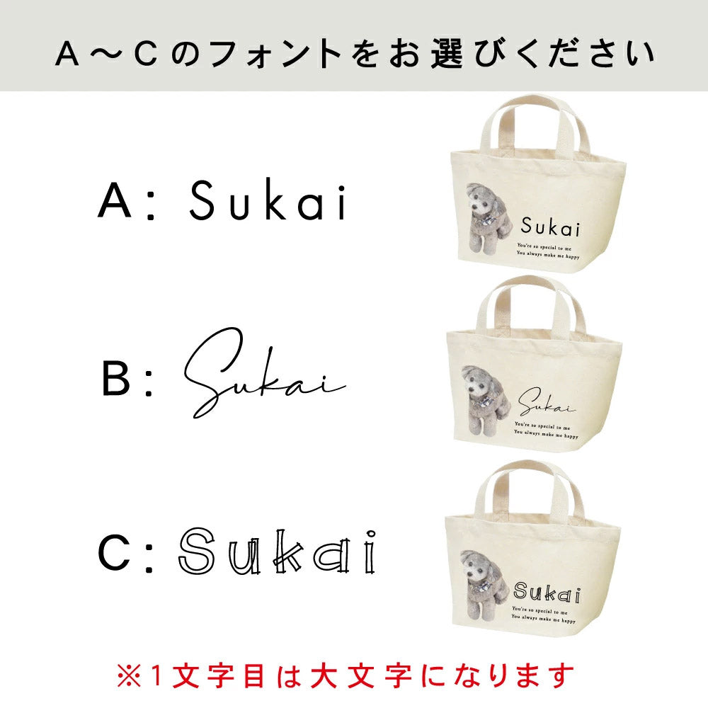 ミニバック