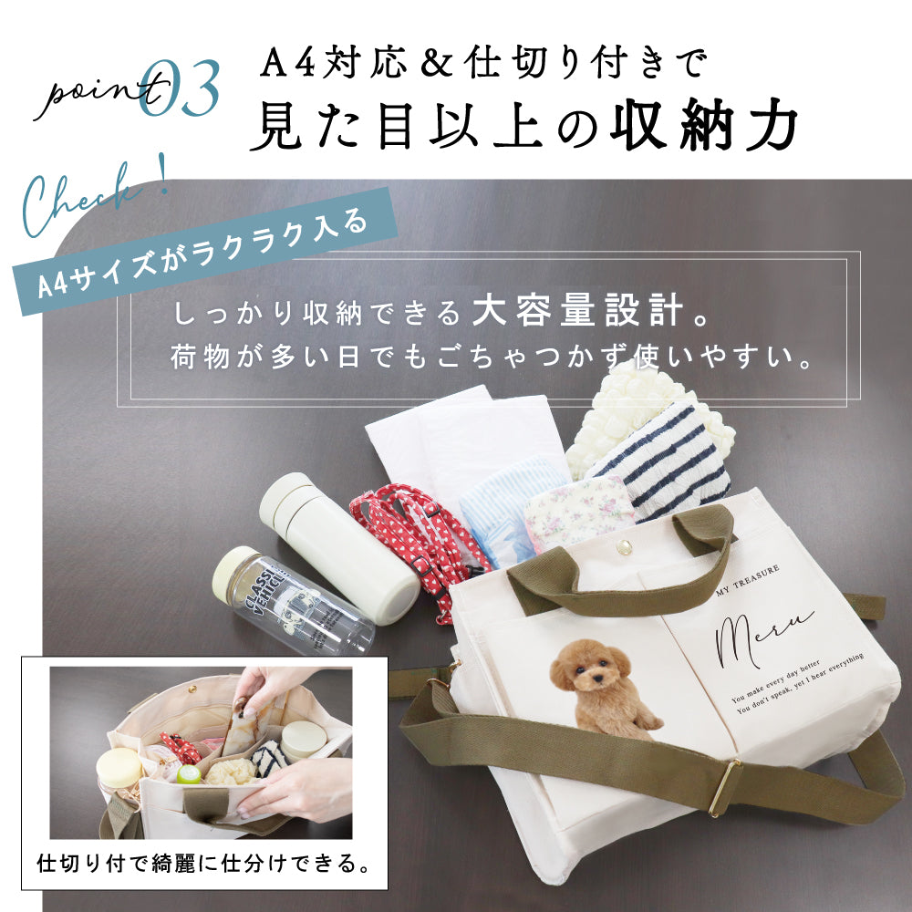 ３WAYバック