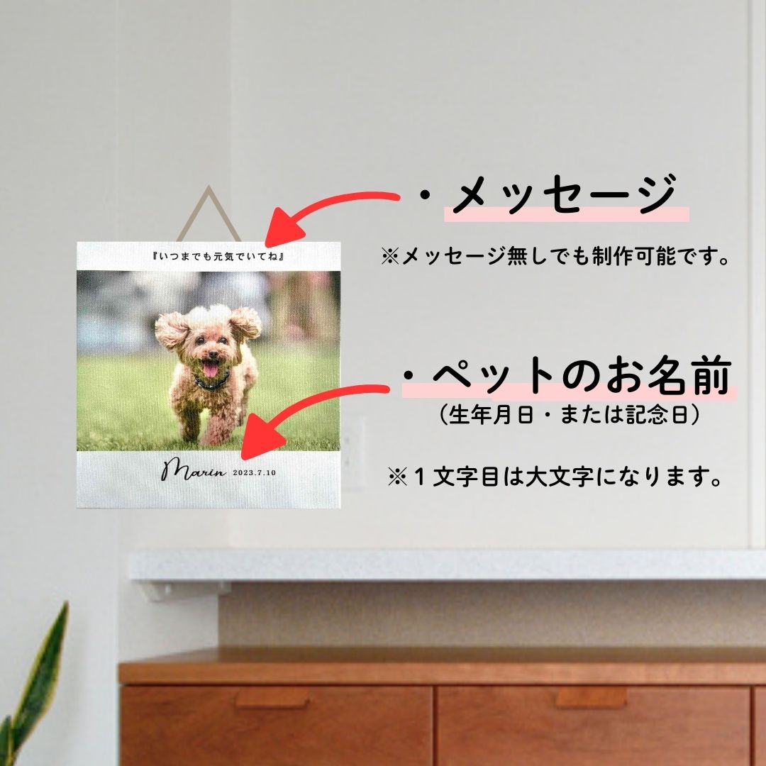 キャンバス