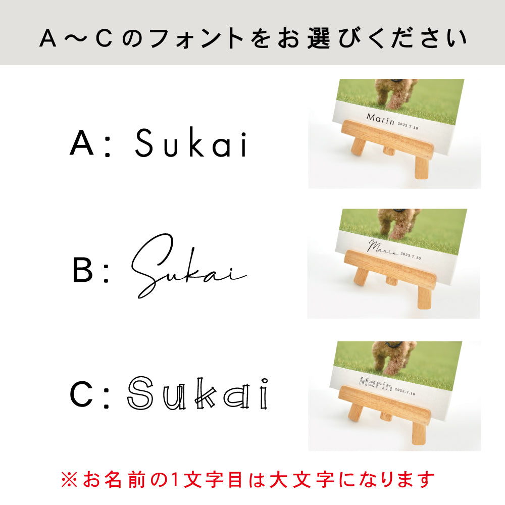 キャンバス