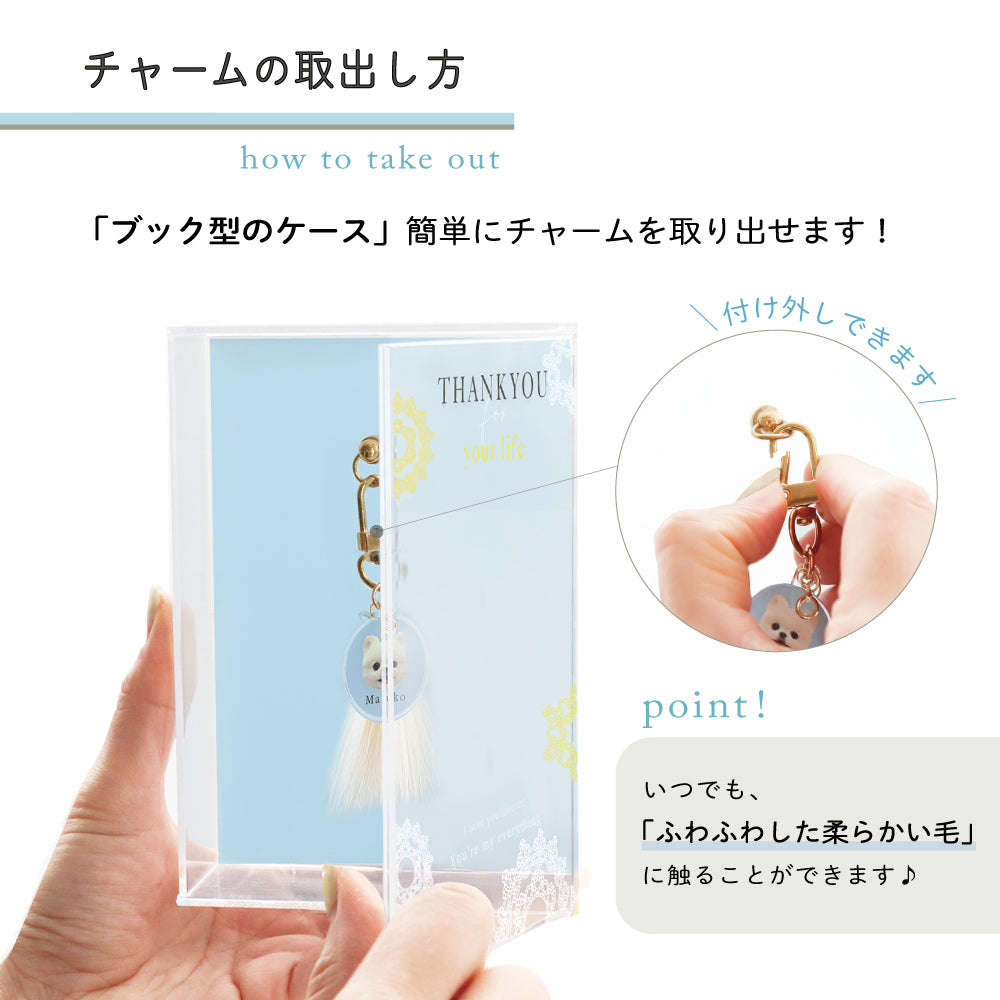 ペットチャーム