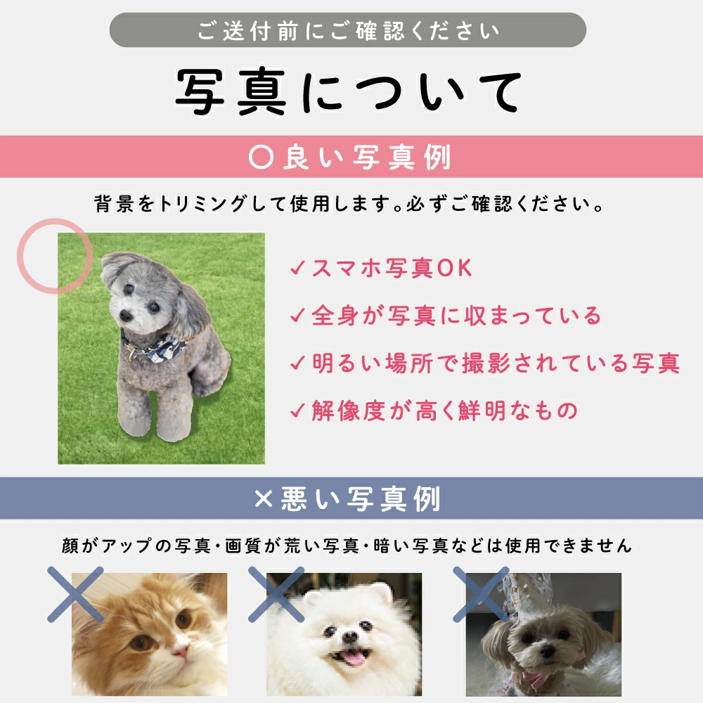 キャンバス