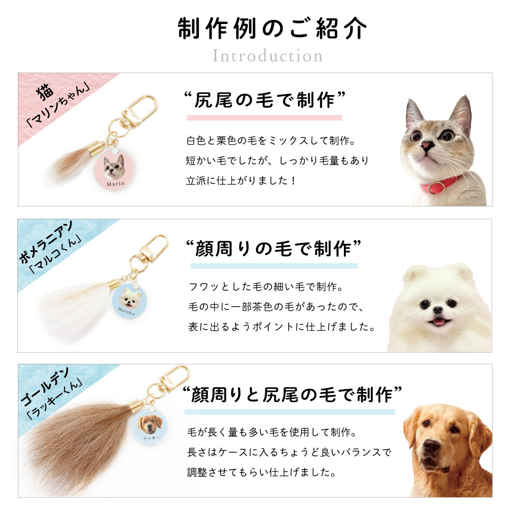 ペットチャーム