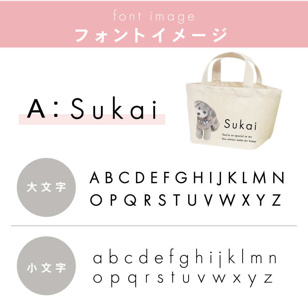 ミニトートbag