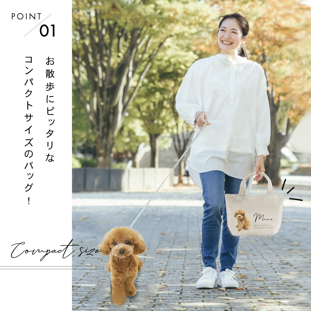 ミニトートbag