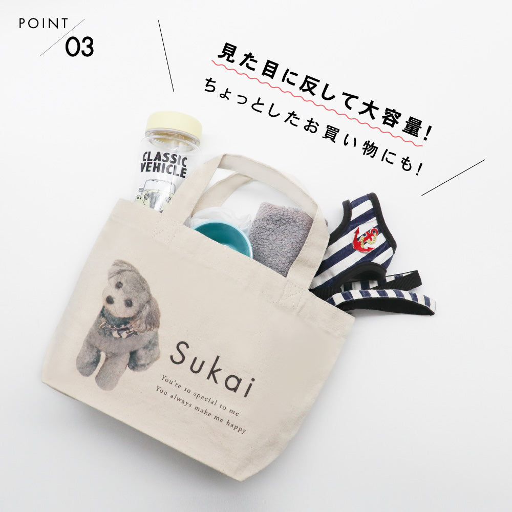 ミニトートbag