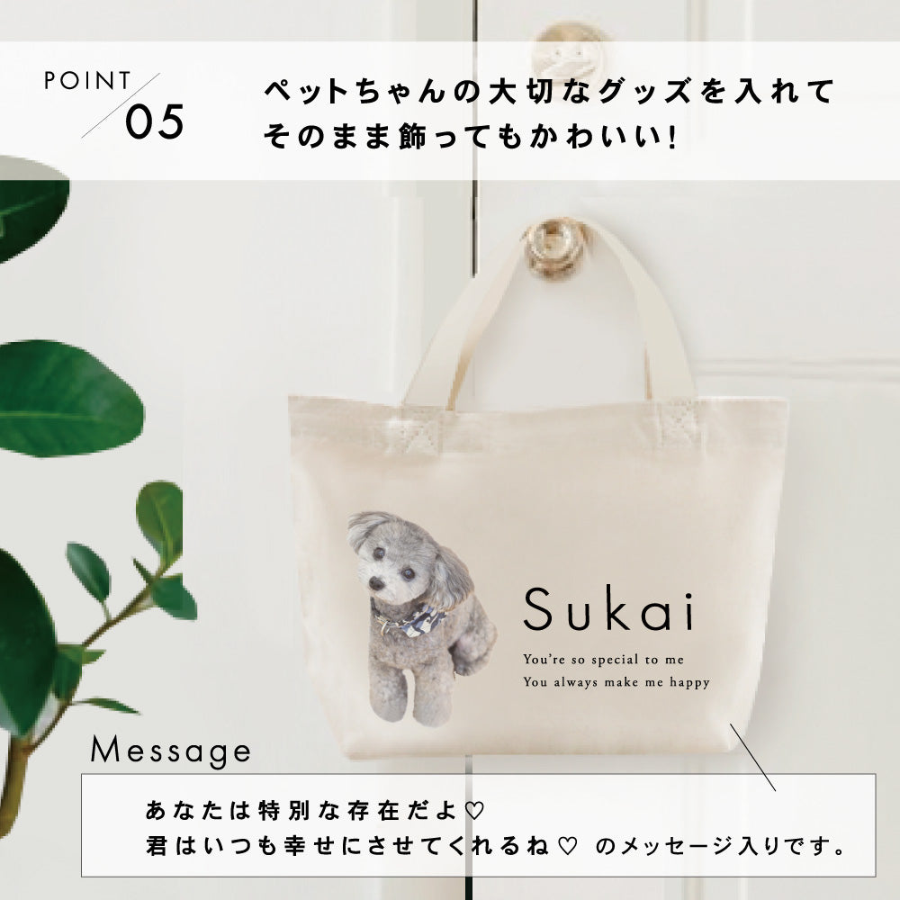 ミニトートbag