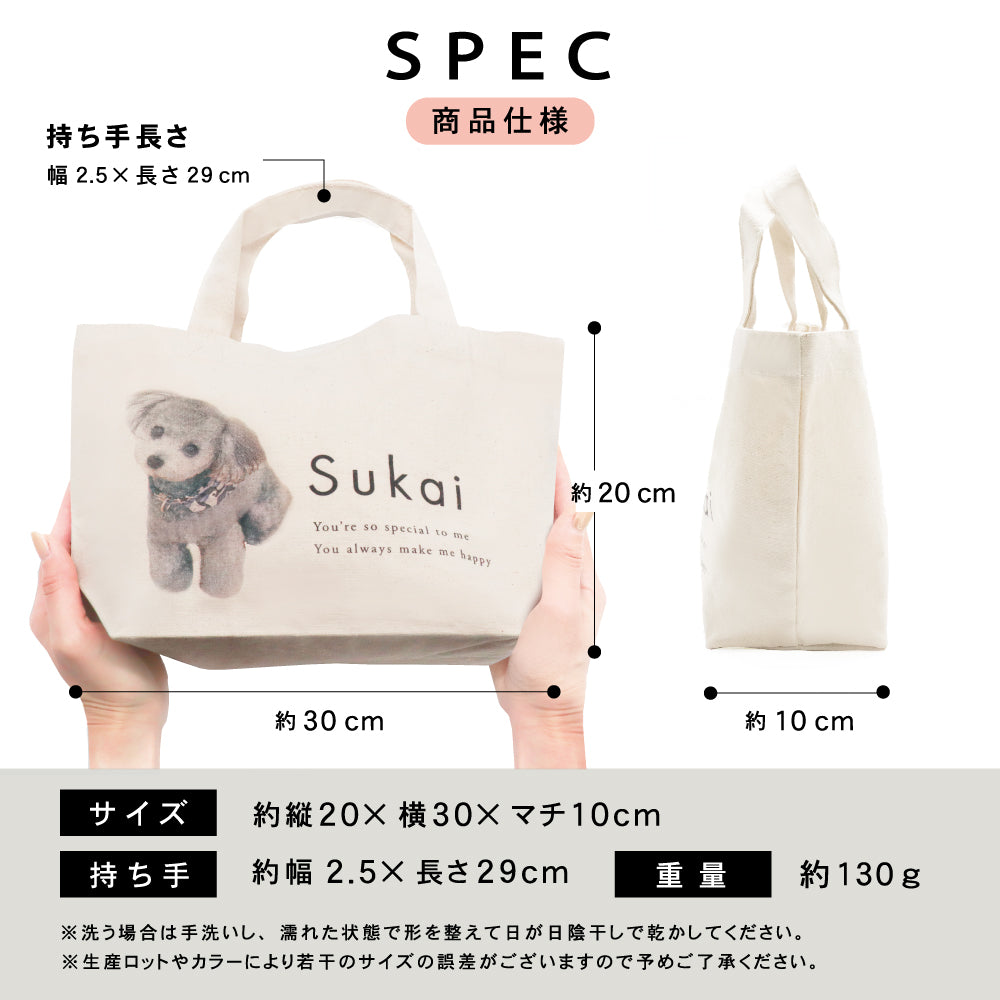 ミニトートbag