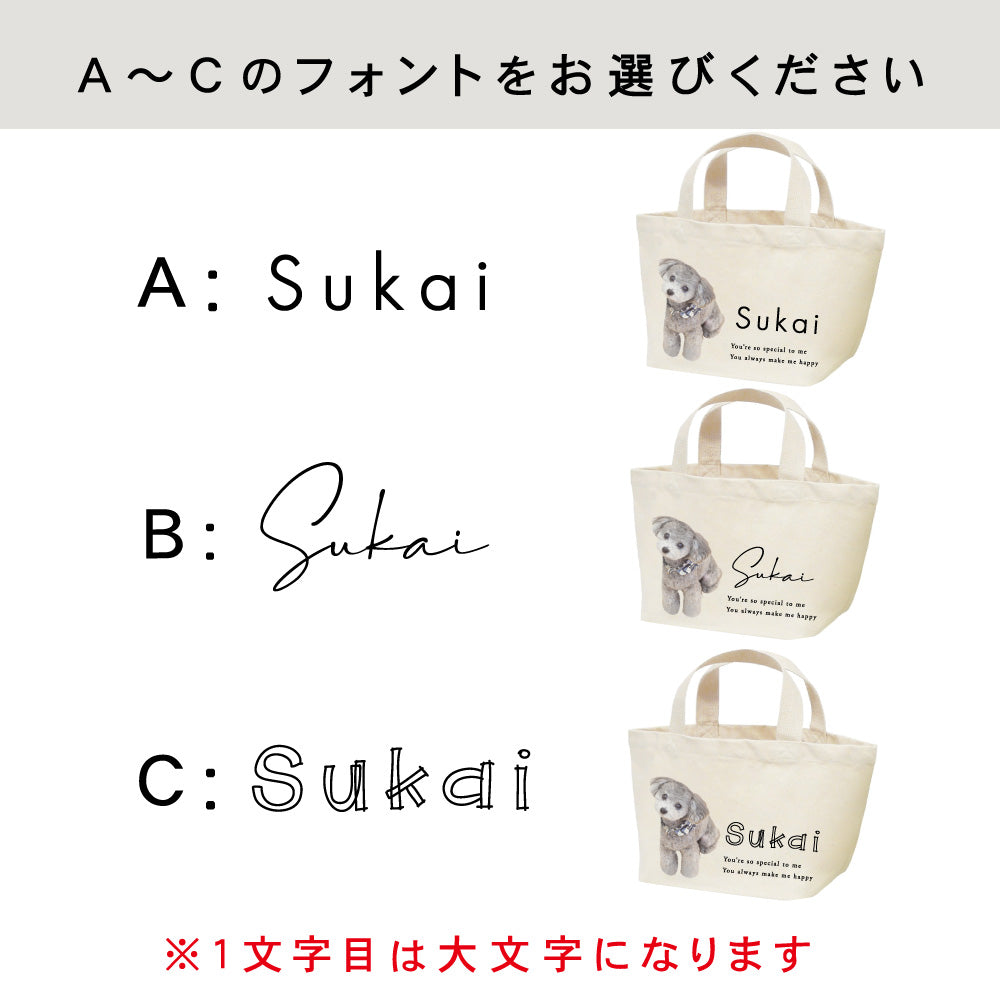 ミニトートbag