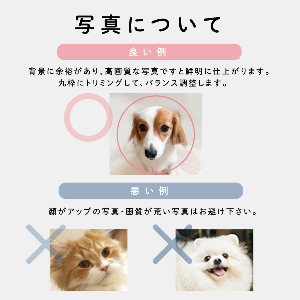 ペット筆