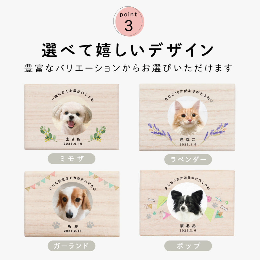 ペット筆